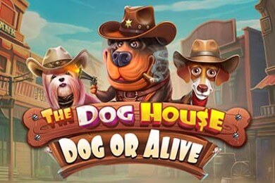 Thedoghousedogoralive слот Кристал Казино